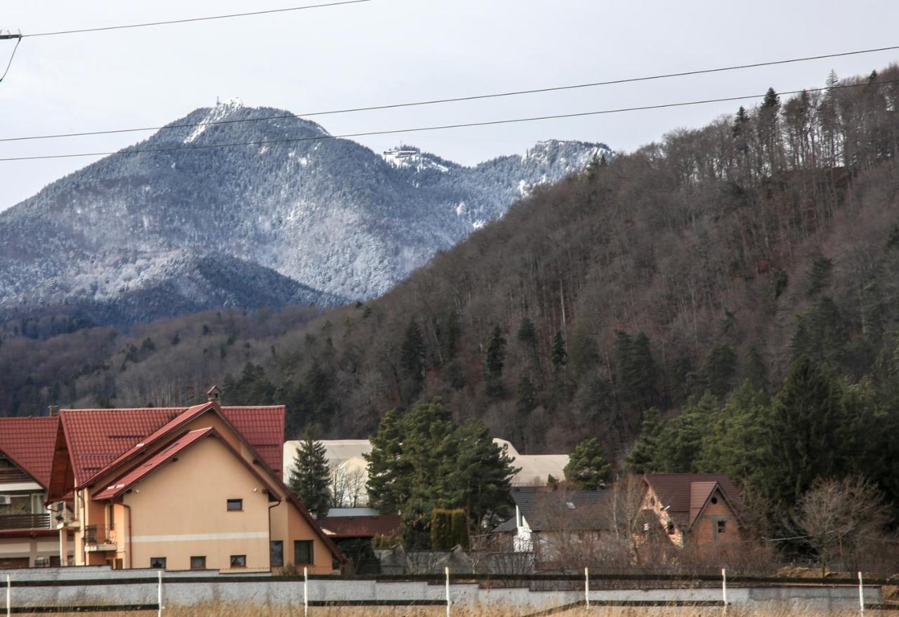 Carpen View Residence Săcele Εξωτερικό φωτογραφία