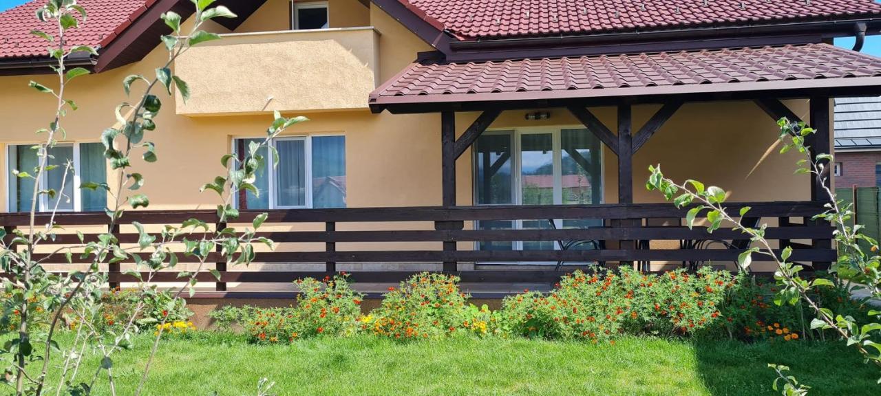 Carpen View Residence Săcele Εξωτερικό φωτογραφία