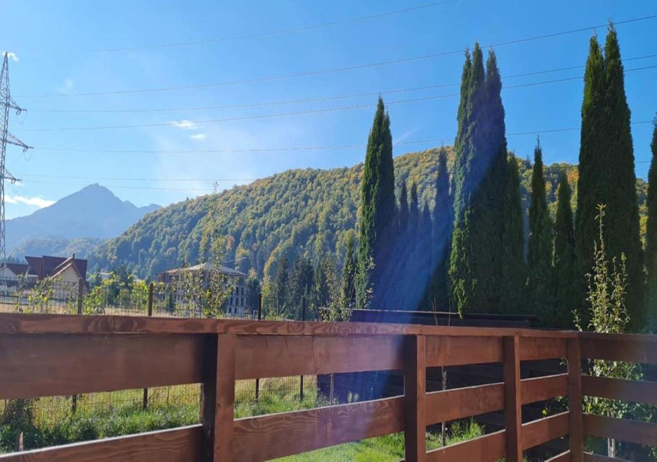 Carpen View Residence Săcele Εξωτερικό φωτογραφία