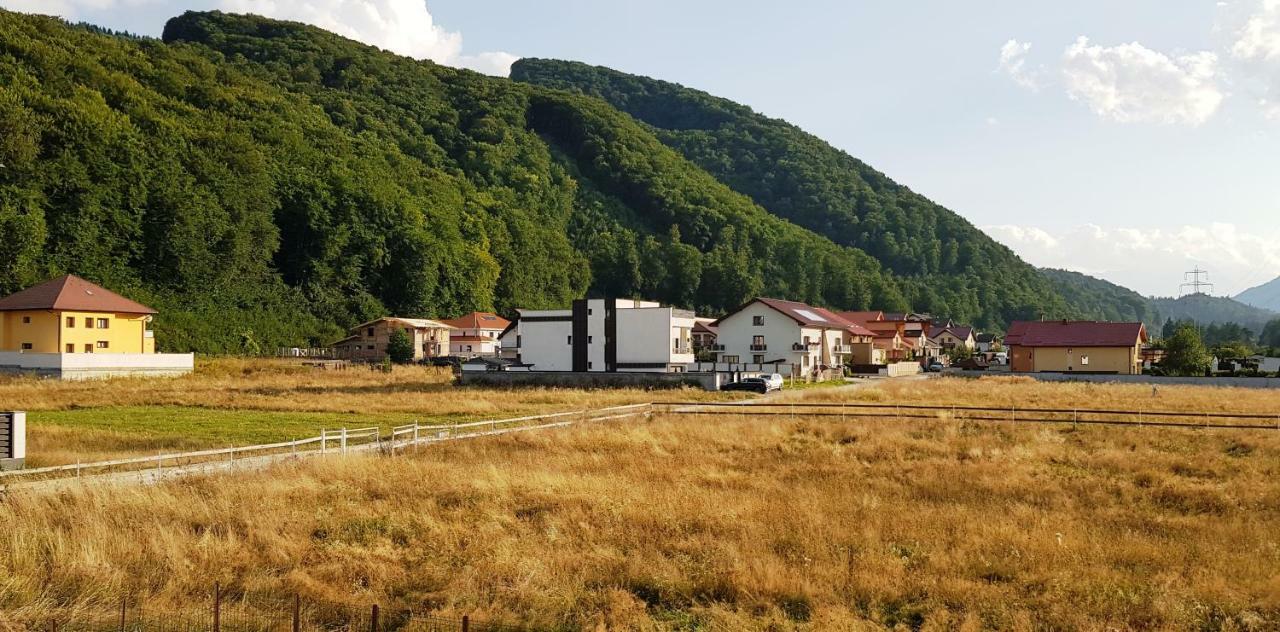 Carpen View Residence Săcele Εξωτερικό φωτογραφία